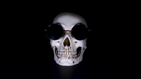 Skull on a black background. close-up.の写真素材