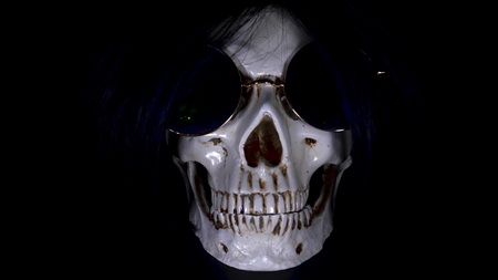 Skull on a black background. close-up