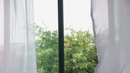 Transparent window curtain, gently moved by the wind. outside the window you can see the green...