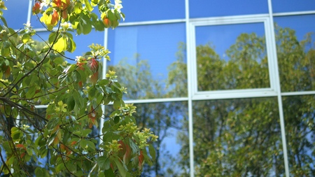 reflection of trees in the windows of a modern high-rise building with a glass facade, standing near...