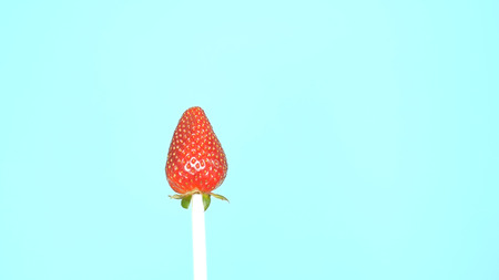 one freshly picked strawberry on blue background on straw on blue background