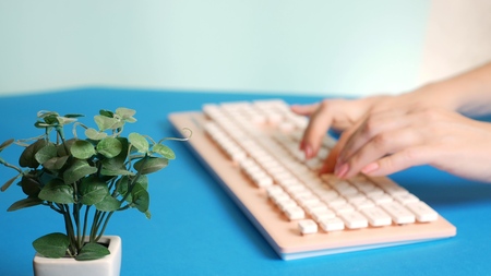 close-up. stylish greeting video card. female hands are typing on a pink keyboard, next to a flower. on a blue background.の写真素材