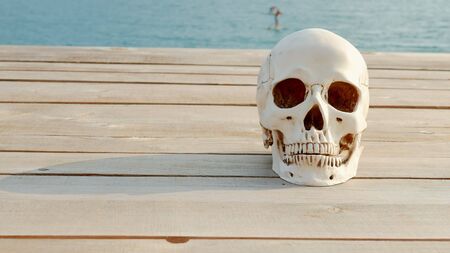 human skull on a wooden terrace with sea and sky view. copy space
