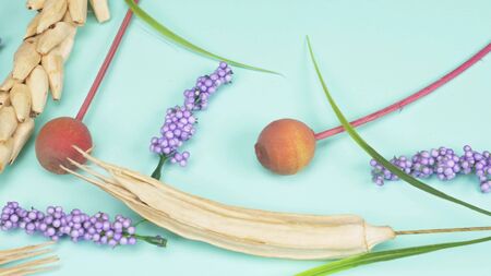 dry spikelets and sprigs of lavender, blue background. fashion color background