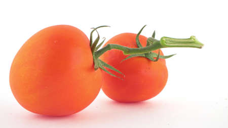 close-up, detail red tomatoes on a branch isolated on white backgroundの写真素材