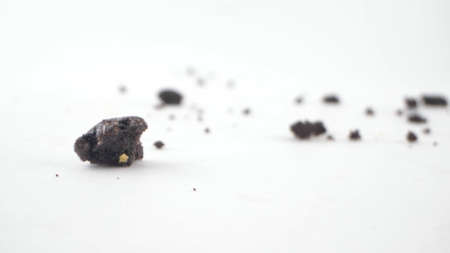 Extreme close-up, detailed. chocolate chips isolated on white backgroundの写真素材