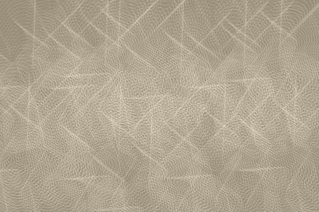 Stylish lace background. Vintage beige lace background for wedding, invitation or greeting card.の写真素材