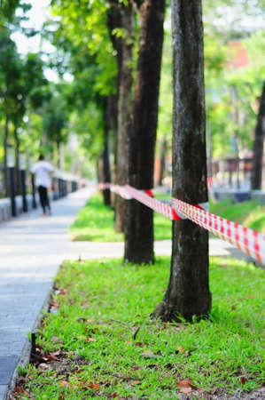 No entry through the tree rowの写真素材