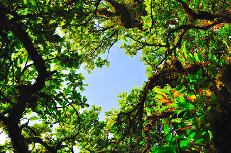 scene of Chiang Dao mountain, Thailandの写真素材