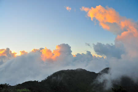 scene of の写真素材