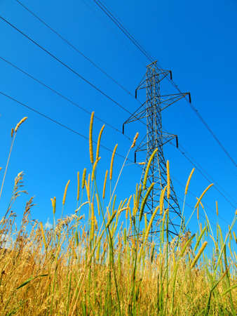 Electric post in a field and blue skyの写真素材