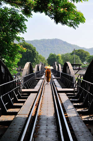 Perspective of railroad with walking monkの写真素材