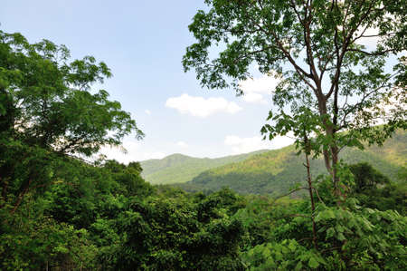 Scene of Erawan national park, Thailandの写真素材