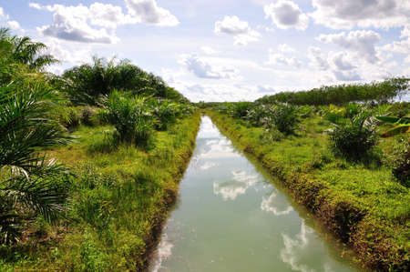 Refecting sky in a canal in suburban scene and blue skyの写真素材