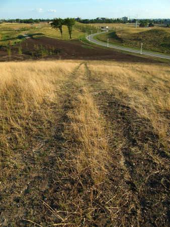 Grass field on a hill topの写真素材