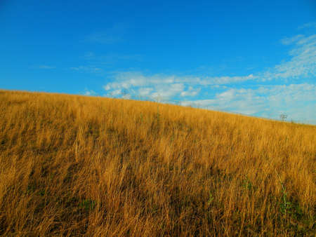 Grass field on a hill top and blue skyの写真素材