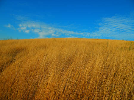 Grass field on a hill top and blue skyの写真素材