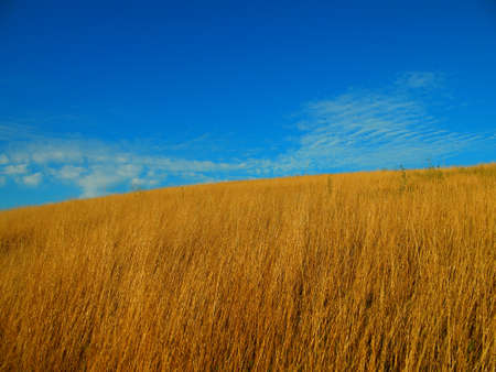Grass field on a hill top and blue skyの写真素材