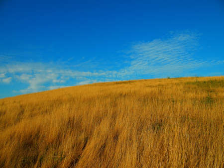 Grass field on a hill top and blue skyの写真素材