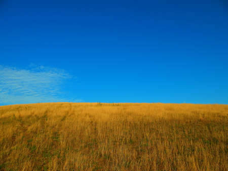 Grass field on a hill top and blue skyの写真素材