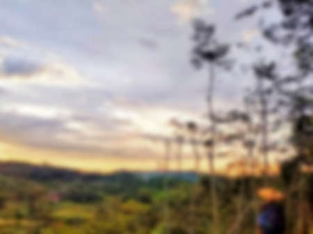 blurry photos of rice fields in the morningの写真素材