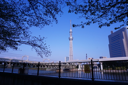Tokyo park.