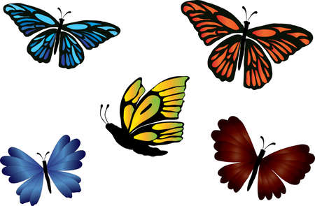 colored butterfliesのイラスト素材
