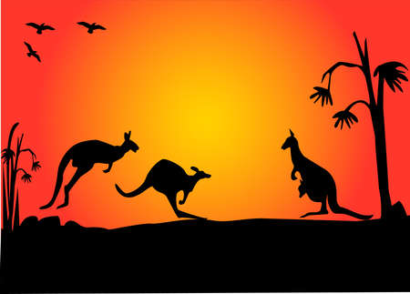 three australian kangaroos hopping in the sunsetのイラスト素材