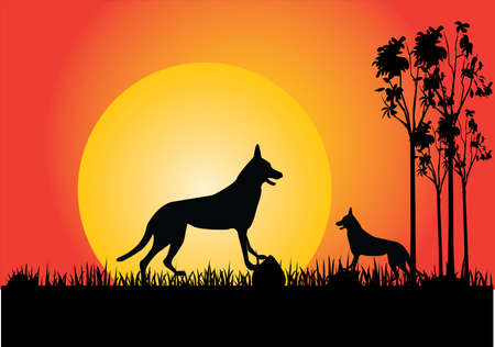 two dingo in the sunset trees and grassのイラスト素材