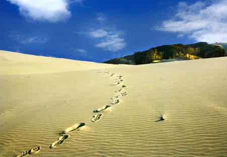 a track foot steps in the sand dunesの写真素材