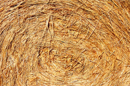 close up of a large bale hayの写真素材