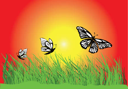 three black and white butterflies flying  in the sunsetのイラスト素材