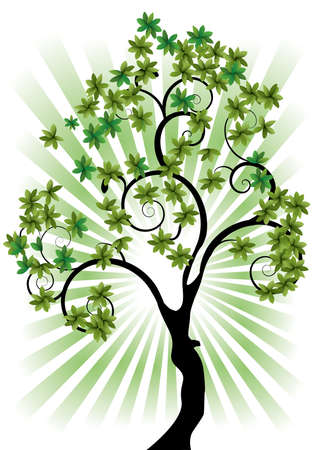 a single tree on a white background with raysのイラスト素材