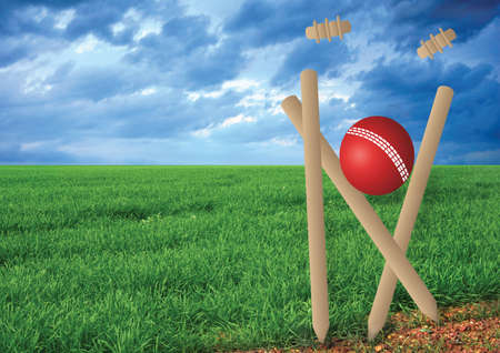 grass and cricket set with blue sky