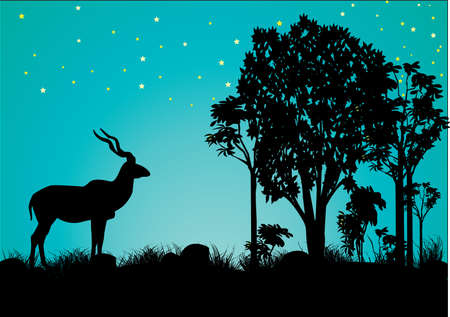 a  single kudu resting in the eveningのイラスト素材