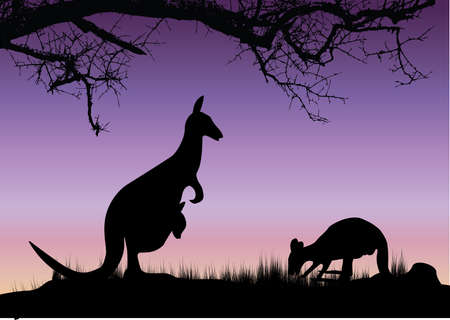 two kangaroo purple background with tree and grallのイラスト素材