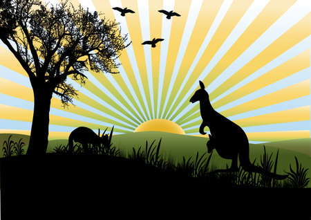 landscape scene with kangarooのイラスト素材