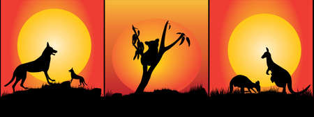 set of australian animals with the evening sunsetのイラスト素材