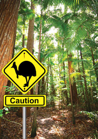 cassowary sign in the rainforest の写真素材