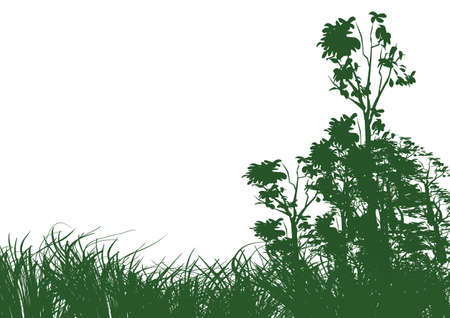 trees and grass on white background with spaceのイラスト素材