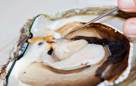 photo taken on Friday Island in the Torres Strait Islands on a pearl farm