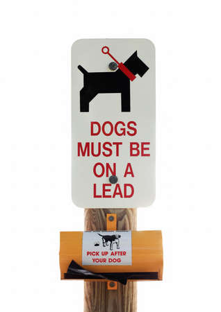 sign dog on leash on a white backgroundの写真素材