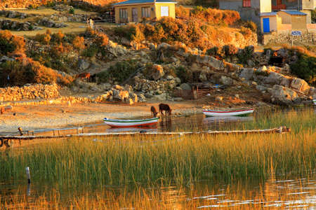 sunrise at Isla del So in  Bolivia South Americaの写真素材