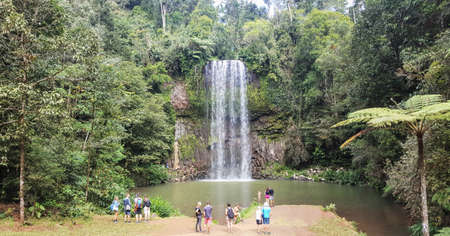 Millaa Millaa Falls is a heritage-listed plunge waterfall at  Millaa Millaa, Tablelands Region, Queensland, Australia.のeditorial素材