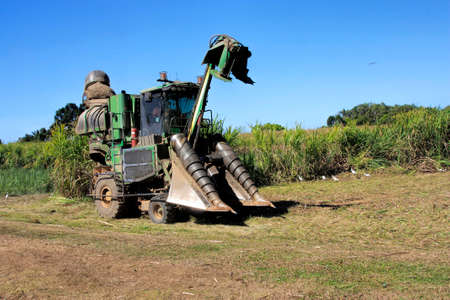 haulage and cutting of sugar cane in Cairns areaの写真素材