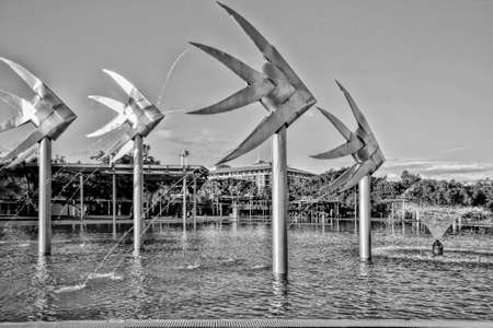 Cairns early morning at the pool on the Cairns esplanadeのeditorial素材