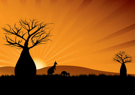 Silhouette of Australian kangaroos among baobab trees at sunsetのイラスト素材