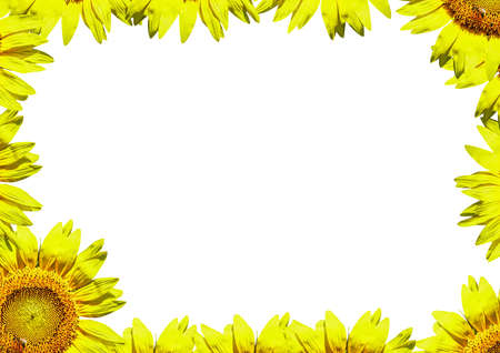 a bright yellow sunflower border to use as a postcard or notepadの写真素材