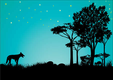 silhouette of dingo and kangaroo with blue sky and stars in Australiaのイラスト素材