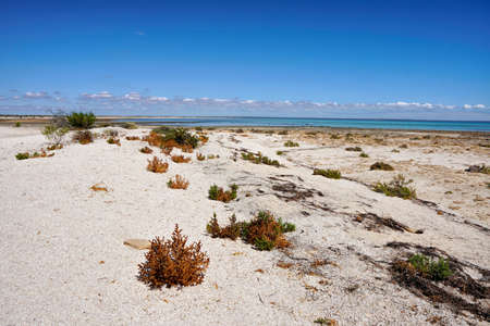Hamelin Pool Marine Nature Reserve is a protected marine nature reserve located in Shark Bay